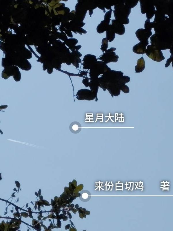 星月大留白单圈