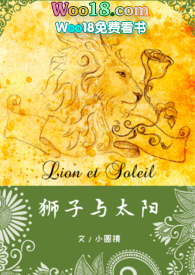 《狮子与太阳》小圆镜小说免费阅读